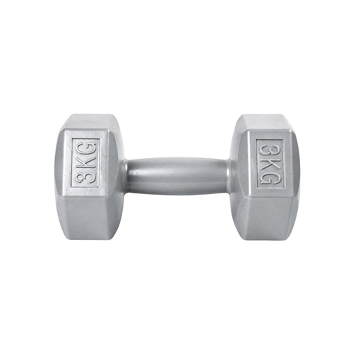 ASG Hantel - 3 kg