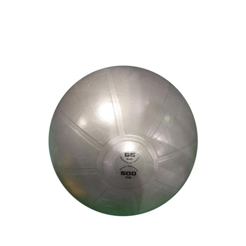 TOORX Antiburst Träningsboll - 55 cm